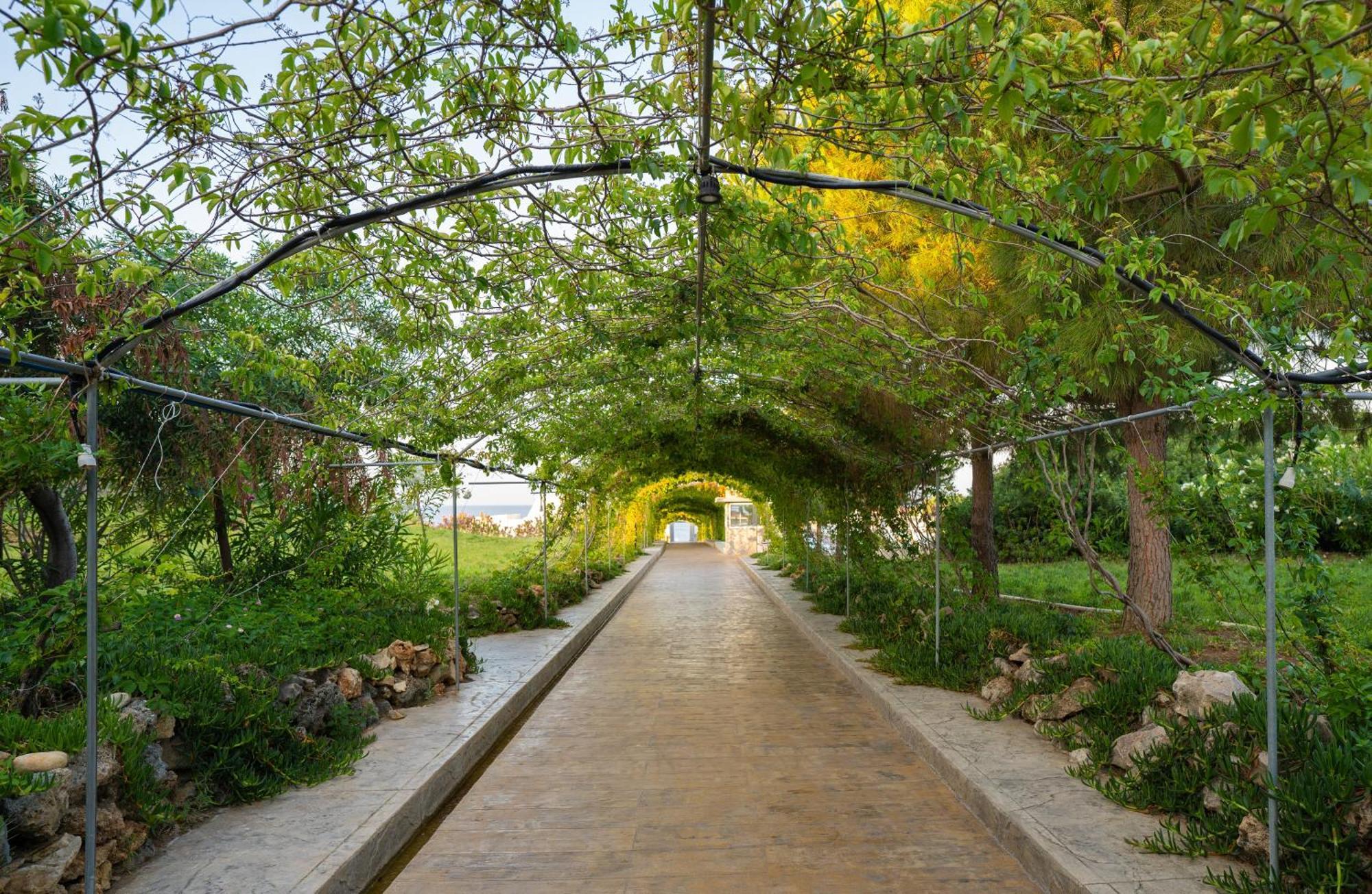Master Family Club Hotell Manavgat Exteriör bild